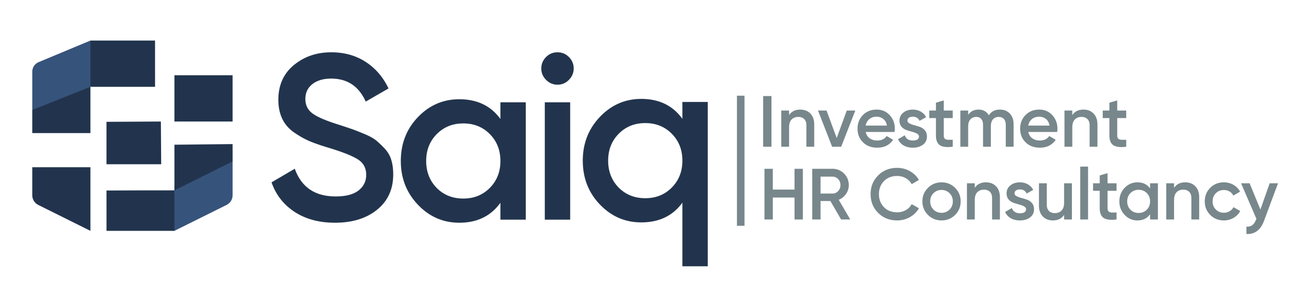 Saiq Hr Consultancy and Investment